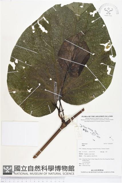 登錄號:BS02870藏品圖，第1張