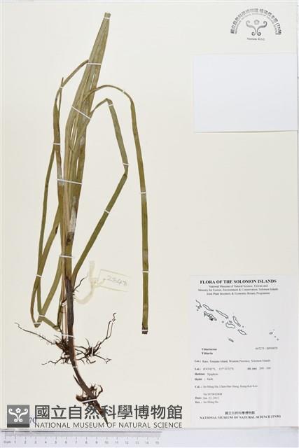 Accession Number:BP00870 Collection Image