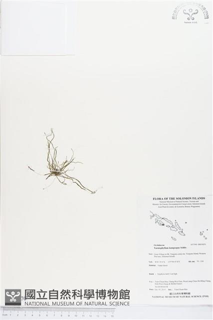 登錄號:BS03870藏品圖，第1張