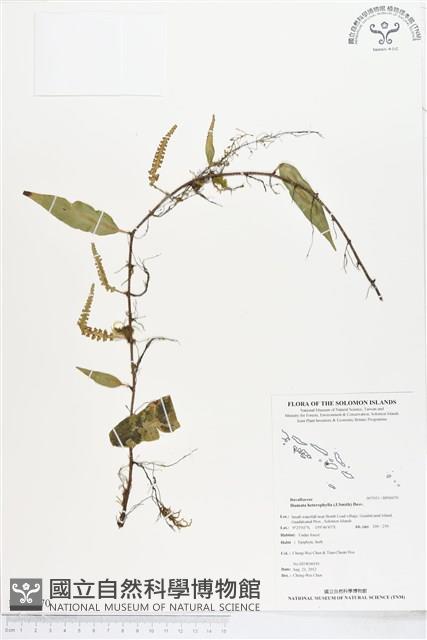 登錄號:BP00070藏品圖，第1張