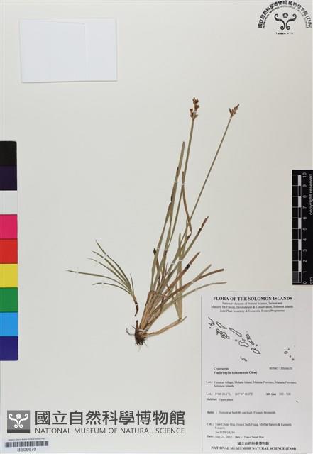 登錄號:BS06670藏品圖，第1張