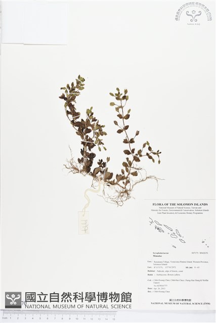 登錄號:BS02670藏品圖，第1張