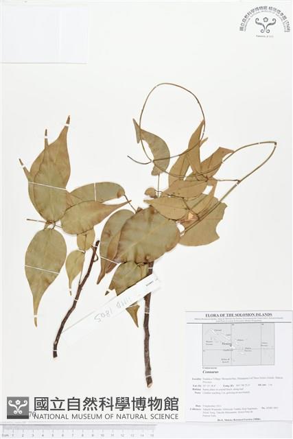 登錄號:BS01670藏品圖，第1張