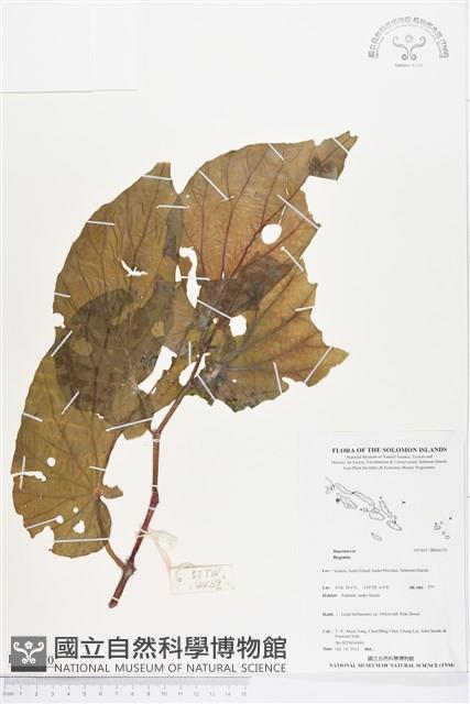 登錄號:BS04170藏品圖，第1張
