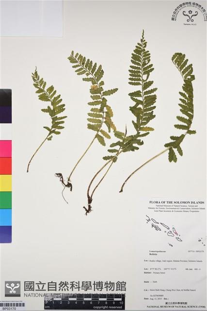 Accession Number:BP03170 Collection Image