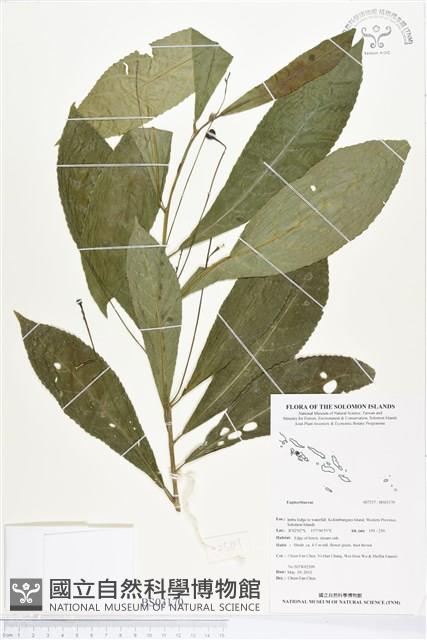 登錄號:BS03170藏品圖，第1張