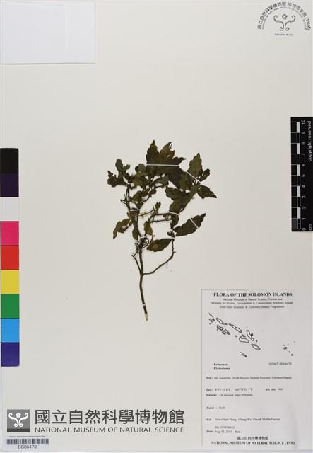 登錄號:BS06470藏品圖，第1張
