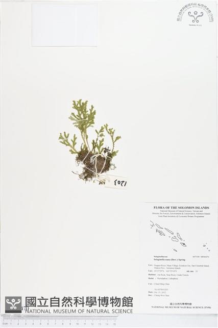 登錄號:BP00470藏品圖，第1張