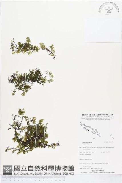 登錄號:BP01470藏品圖，第1張