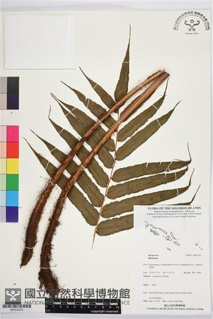 登錄號:BP03470藏品圖，第1張