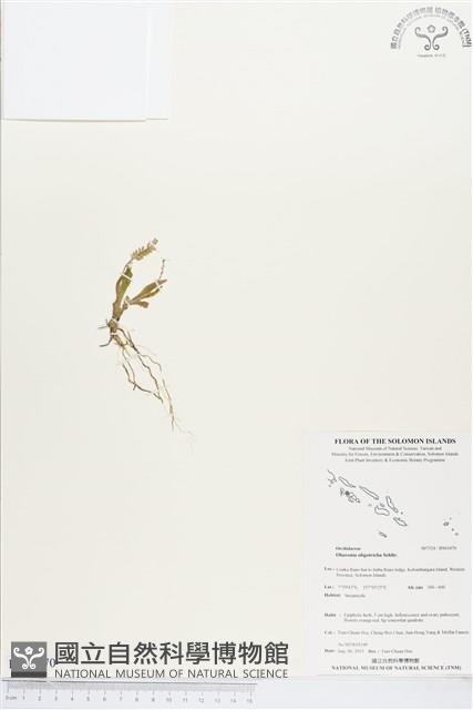 登錄號:BS03470藏品圖，第1張