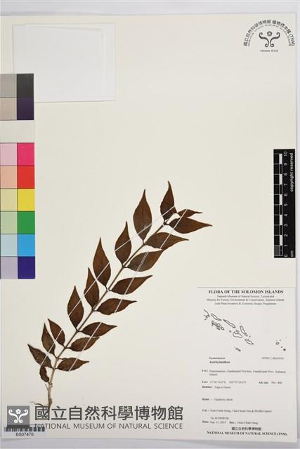 登錄號:BS07470藏品圖，第1張