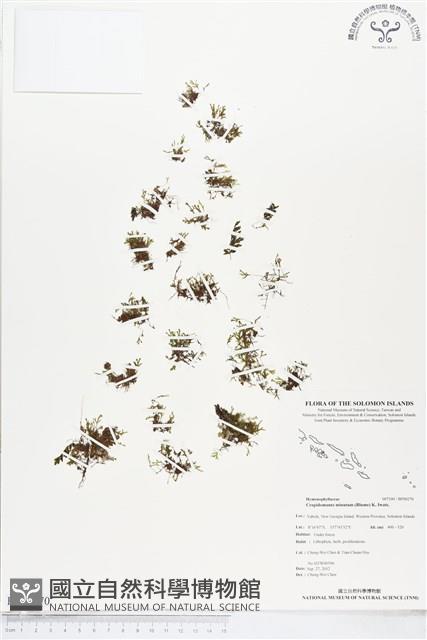 Accession Number:BP00270 Collection Image