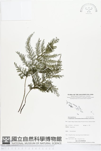 登錄號:BP01270藏品圖，第1張