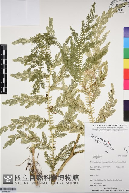 登錄號:BP03270藏品圖，第1張