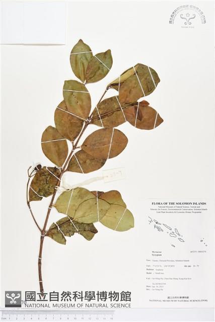 Accession Number:BS03270 Collection Image