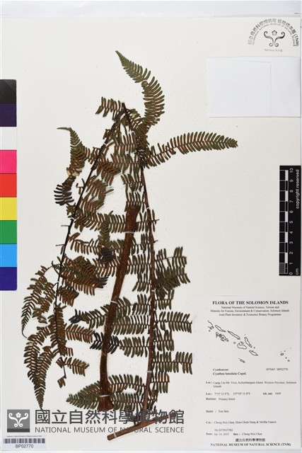 登錄號:BP02770藏品圖，第1張