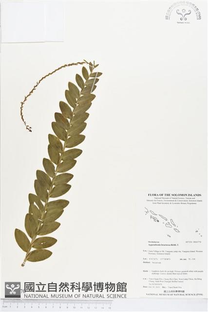 登錄號:BS03770藏品圖，第1張