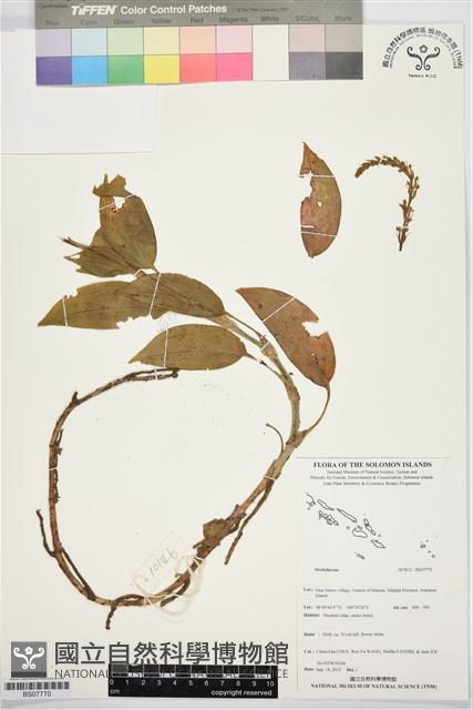 登錄號:BS07770藏品圖，第1張