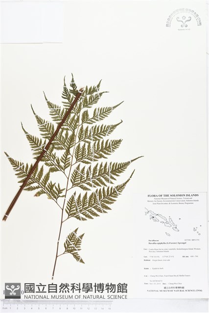 登錄號:BP01570藏品圖，第1張