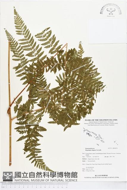 登錄號:BP00970藏品圖，第1張