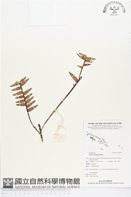 登錄號:BS01970藏品圖，第1張