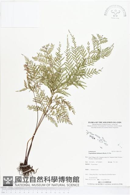 登錄號:BP01370藏品圖，第1張