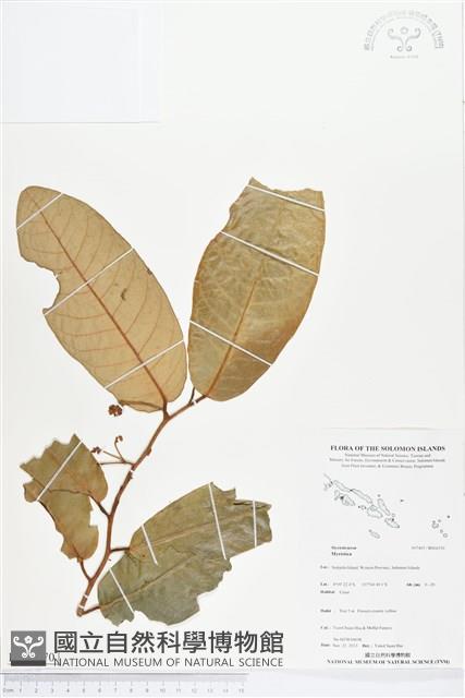 登錄號:BS04370藏品圖，第1張