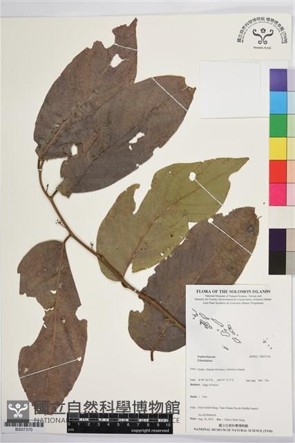 登錄號:BS07370藏品圖，第1張