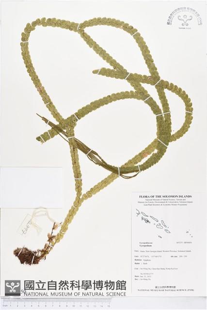 登錄號:BP00850藏品圖，第1張