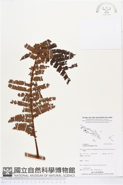 登錄號:BP01850藏品圖，第1張