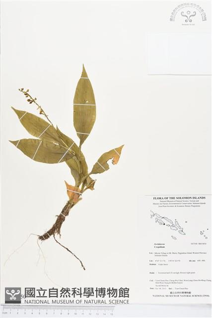 登錄號:BS03850藏品圖，第1張