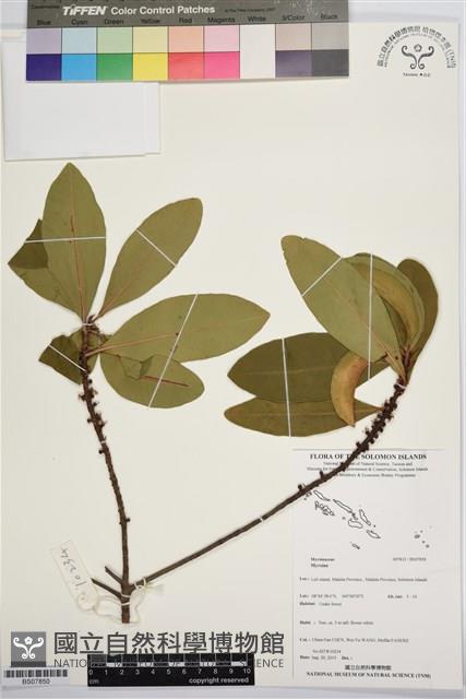 登錄號:BS07850藏品圖，第1張