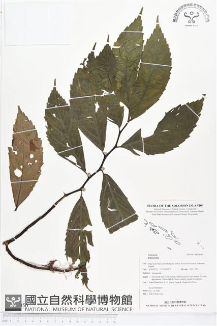 登錄號:BS02050藏品圖，第1張