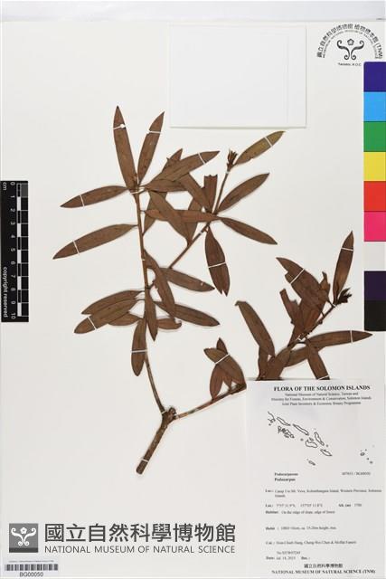 登錄號:BG00050藏品圖，第1張