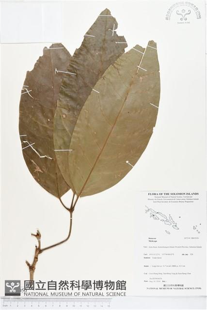 登錄號:BS05050藏品圖，第1張