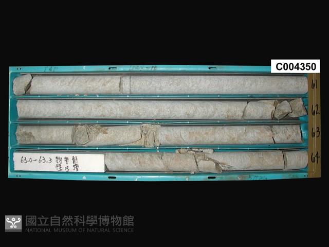 登錄號:C004350藏品圖，第1張