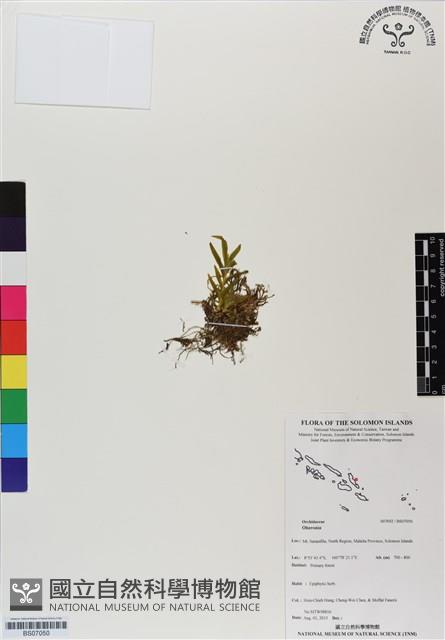 登錄號:BS07050藏品圖，第1張