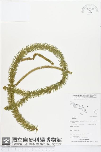 登錄號:BP01650藏品圖，第1張