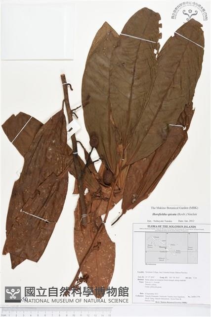 Accession Number:BS01650 Collection Image