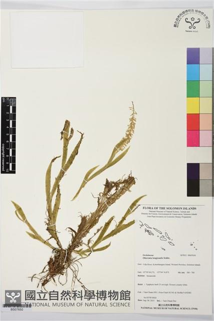 登錄號:BS07650藏品圖，第1張