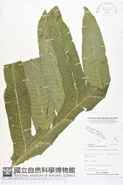 登錄號:BP02150藏品圖，第1張