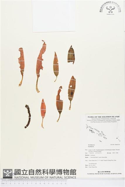 登錄號:BS02150藏品圖，第1張