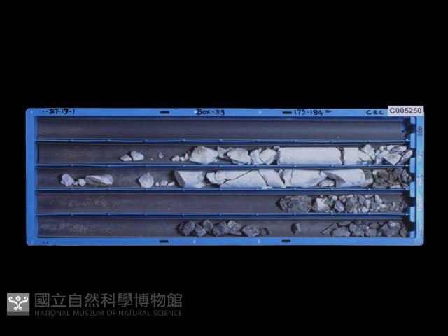 登錄號:C005250藏品圖，第1張