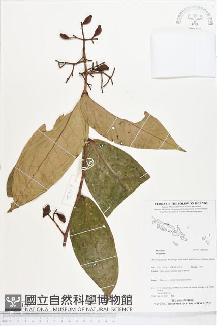 登錄號:BS05150藏品圖，第1張