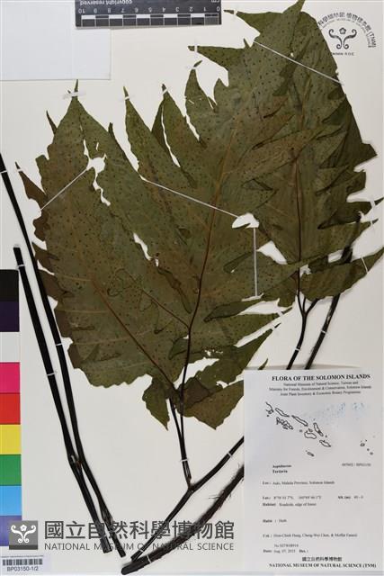 登錄號:BP03150藏品圖，第1張