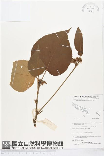 登錄號:BS05450藏品圖，第1張