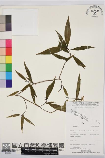 登錄號:BS07450藏品圖，第1張