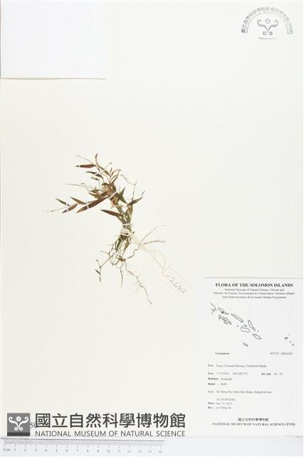 登錄號:BS03250藏品圖，第1張