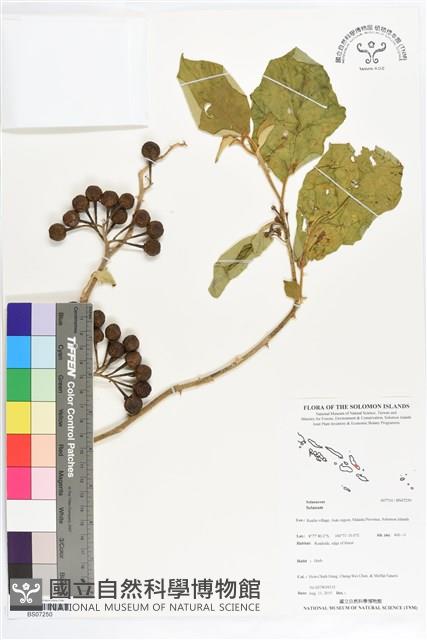 登錄號:BS07250藏品圖，第1張